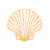 Muschel2